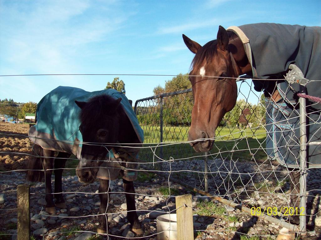 154 Kaniere Road Accommodation Hokitika Buitenkant foto